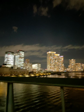 ◉ 夜のお散歩と都会の生活の記事動画