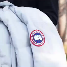 チョビ出演の動画CMの画像