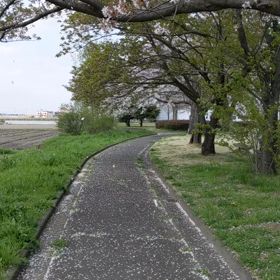 花冷えの画像