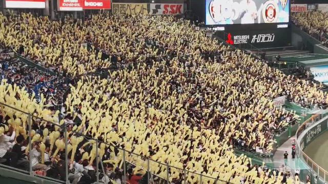トラホ〜の記事動画