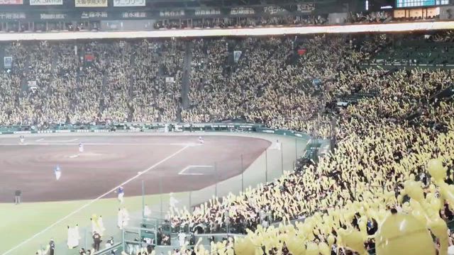 トラホ〜の記事動画