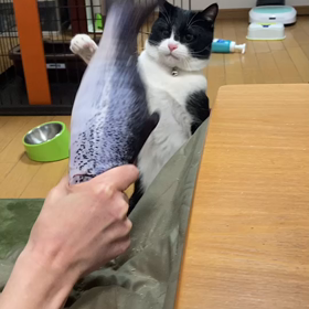 やばい。の画像