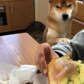 要求強め。の画像