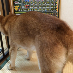 小鉄2日目-2の画像