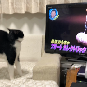 いる？の画像