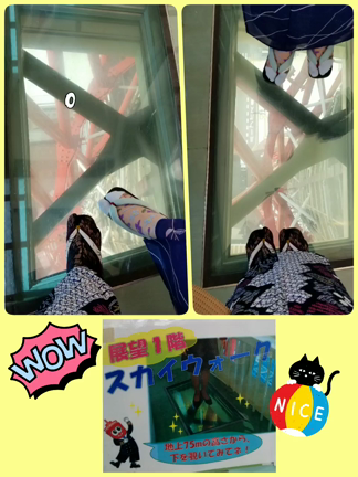 ウメ子満喫❤️神戸散策　2の記事動画