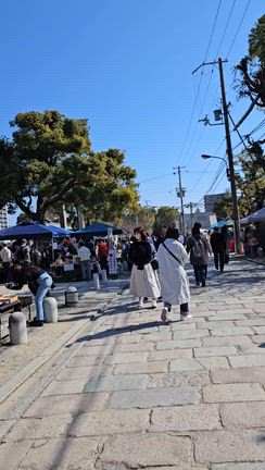 久しぶりの四天王寺骨董市の記事動画