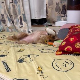 暑かったの画像