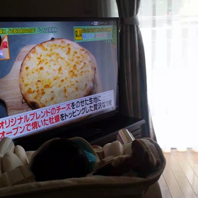 元気♪の画像