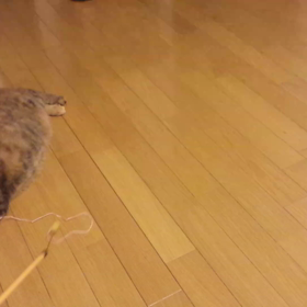 おもちゃで♪の画像
