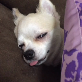 おはよー！の画像