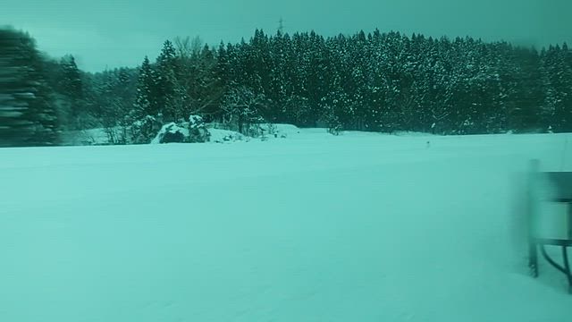 【YouTube】青春18きっぷの1人旅～2026年冬の新潟へ～の記事動画