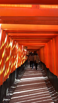 京都旅行2日目。あまりの美しさに感動した場所の記事動画