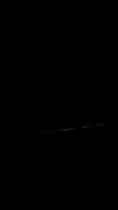深夜にワニちゃんに嫌がらせされましたの記事動画