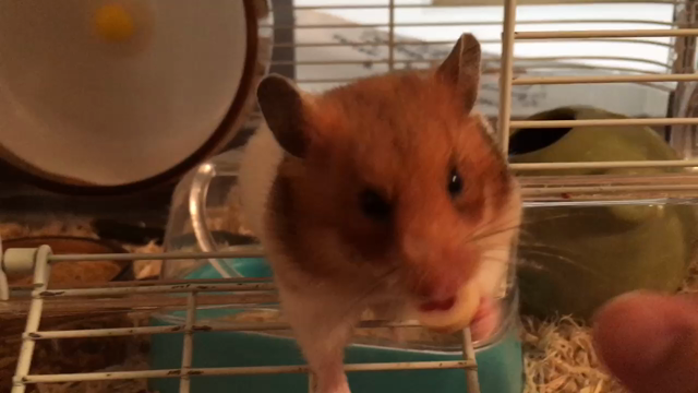 【奏】さよならの記事動画