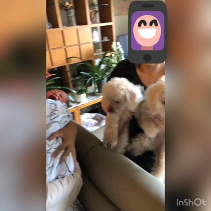 大泣きでした＾＾の記事動画