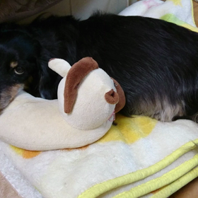 一進一退の画像