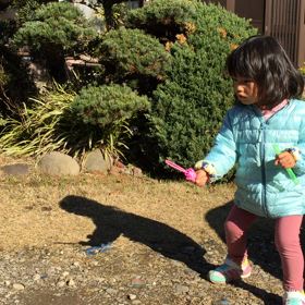 みーさん動画の画像