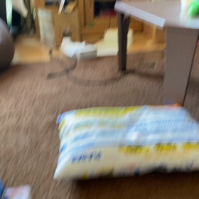 まいごのまいごのこねこちゃんの画像