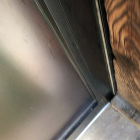 横綱になってしまったチャチャ＆クゥ♡の画像