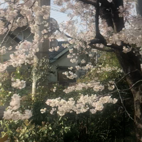 退院７日目③❤️〜子宮脱子宮摘出手術経過診察に行ってきた〜の画像