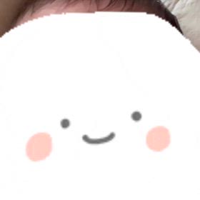 最近のまめつぶの画像