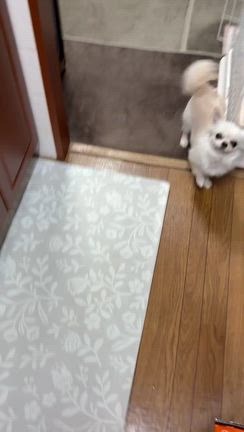いつもありがとうございますの記事動画