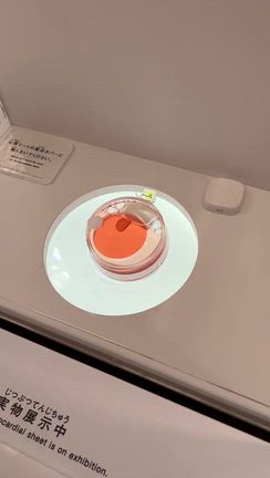 大阪万博行ってきましたー行きたいを叶えてくれてありがとうの記事動画