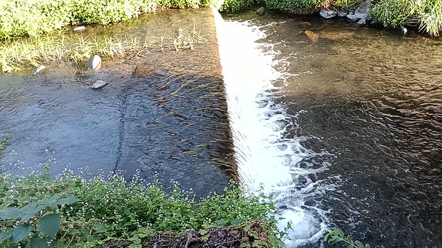休養日〜楽しく歩くの記事動画