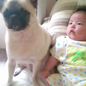 baby&dogの画像