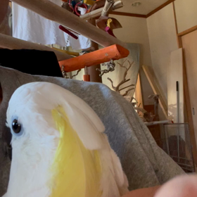 お迎え待ちの画像