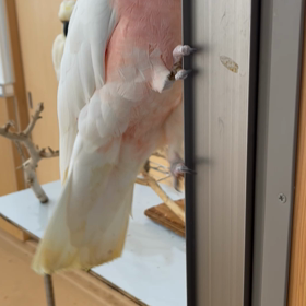 クルマサカエレベーターの画像