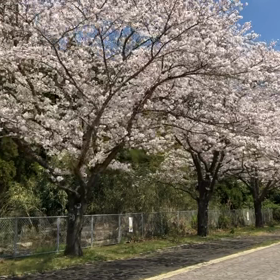 ラジオを聴いていたらの画像