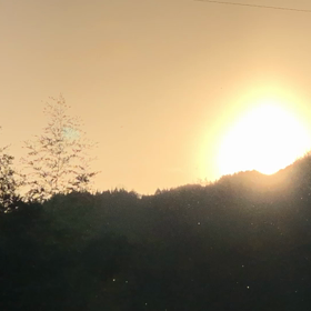 今年もよろしくお願い致しますの画像