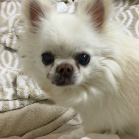 犯人の画像