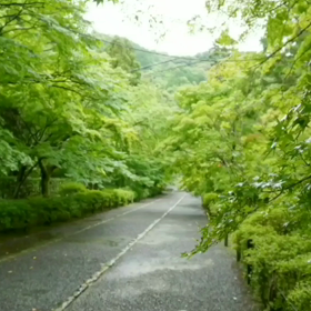 花手水③の画像