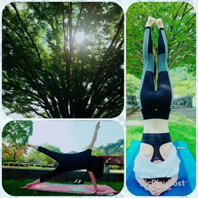 吉香公園朝yogaの画像