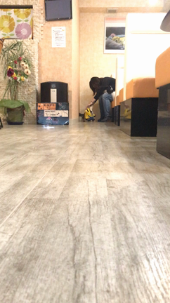 迷惑犬ですが…の記事動画