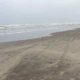 秘密基地・海の画像
