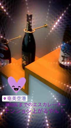 奄美大島に到着！の記事動画