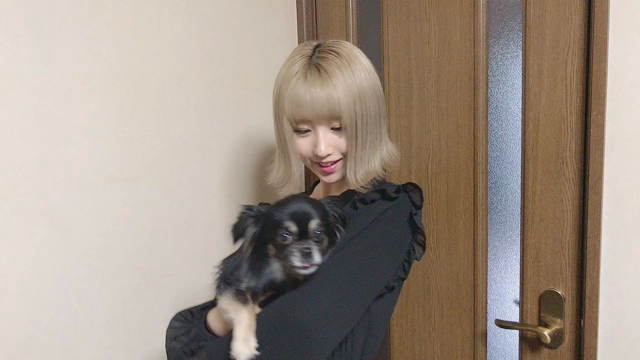 4月29日れぼちゃんブログの記事動画