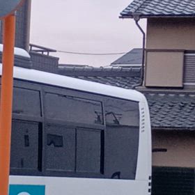 ちらっと見の画像