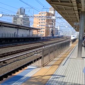 乗っちゃったの画像