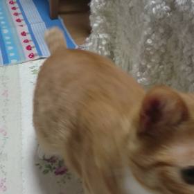 ＊男ならば！＊の画像