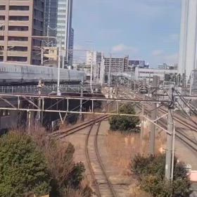 2025/02/07の画像