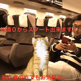 2月限定３名様まで。の画像