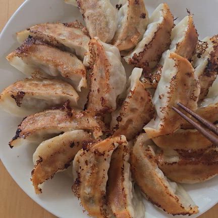 【気になる】一龍堂の餃子の凄さに迫ってきた！味もクオリティもクーポンも衝撃的！の記事動画
