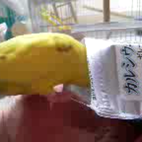 ここさいきんの画像