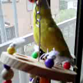 おはようございますの画像