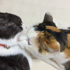 仲良しだと思ったけど❣️の画像